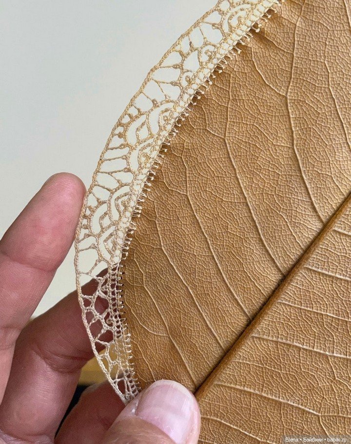 Листья Cюзанны Бауэр, Susanna Bauer (фото 9)