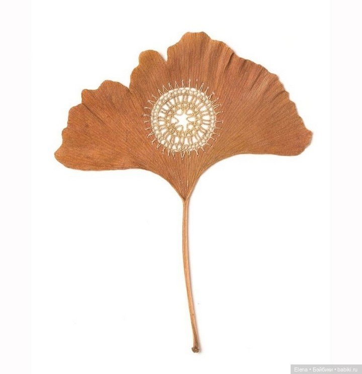 Листья Cюзанны Бауэр, Susanna Bauer (фото 10)