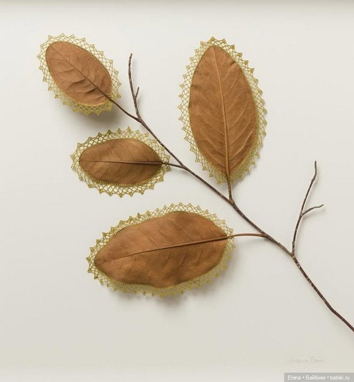 Листья Cюзанны Бауэр, Susanna Bauer (фото 7)