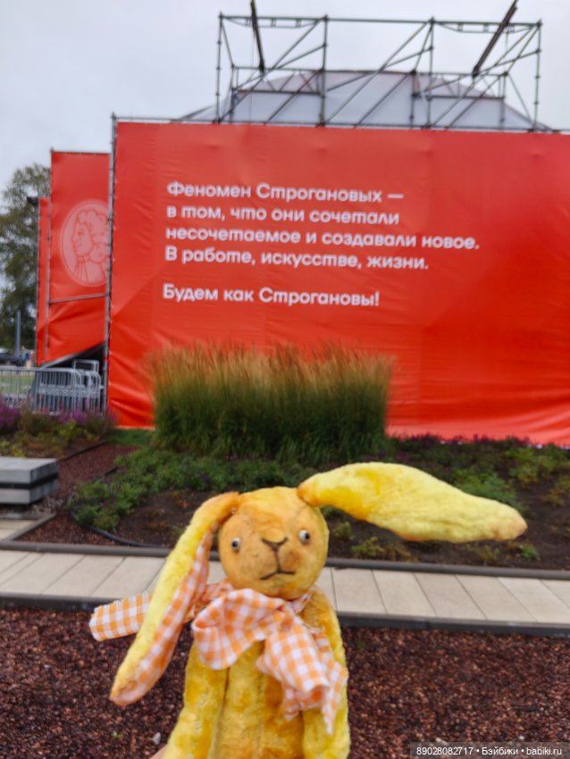 Фестивальный заяц — Интересное и необычное: фотоподборки