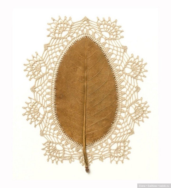 Листья Cюзанны Бауэр, Susanna Bauer (фото 4)