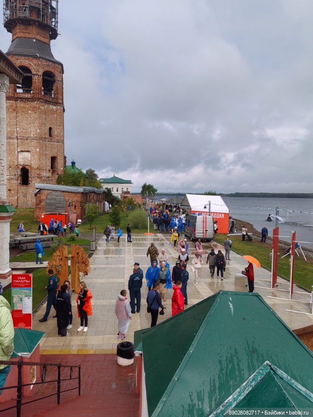 Фестивальный заяц — Интересное и необычное: фотоподборки (фото 9)