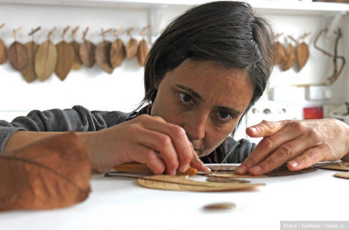 Листья Cюзанны Бауэр, Susanna Bauer