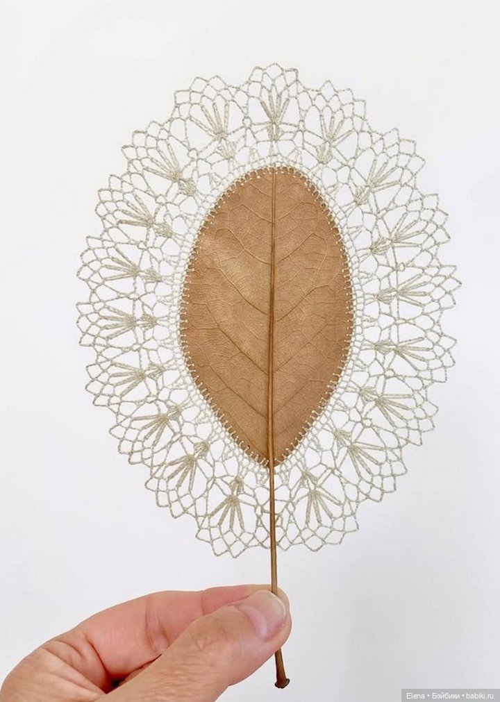 Листья Cюзанны Бауэр, Susanna Bauer (фото 6)