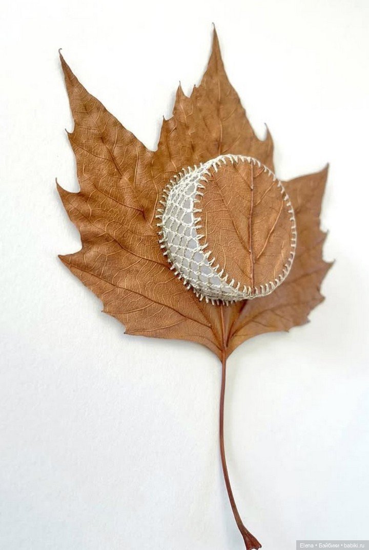 Листья Cюзанны Бауэр, Susanna Bauer (фото 8)