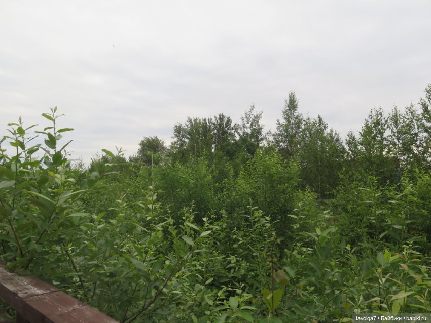 "Два осколка от большей судьбы" (фото 3)