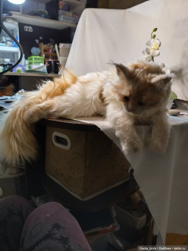 "Мааам, пьявда я кьясиви?" (Рафаэль)) (фото 3)