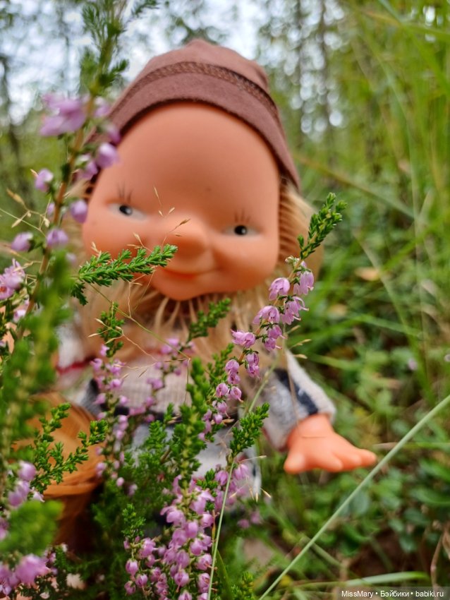 Как дядя Елисей за брусникой ходил (фото 6)