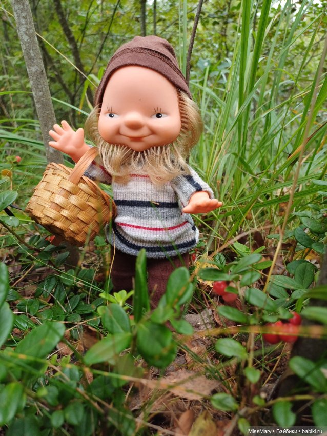 Как дядя Елисей за брусникой ходил (фото 4)