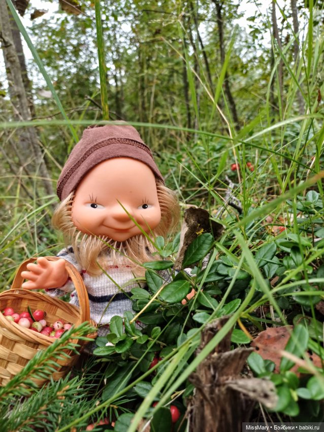 Как дядя Елисей за брусникой ходил