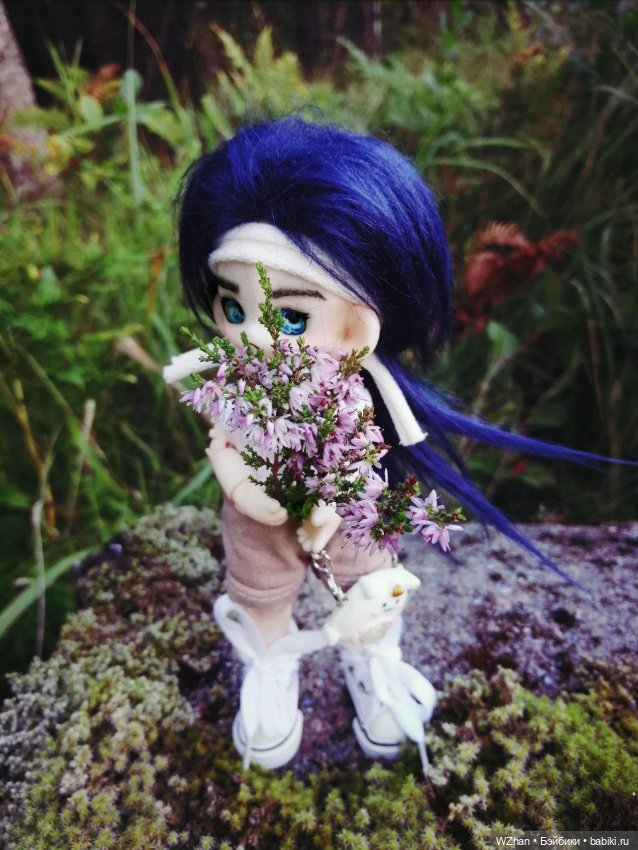Август — Разные куклы BJD (БЖД): редкие бренды