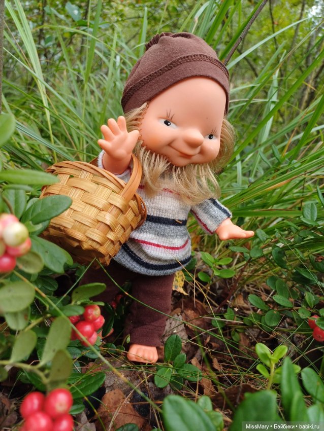 Как дядя Елисей за брусникой ходил (фото 5)