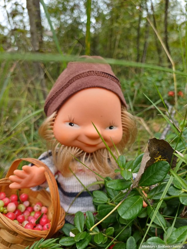 Как дядя Елисей за брусникой ходил