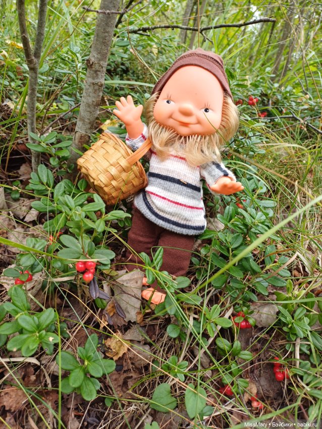 Как дядя Елисей за брусникой ходил (фото 2)