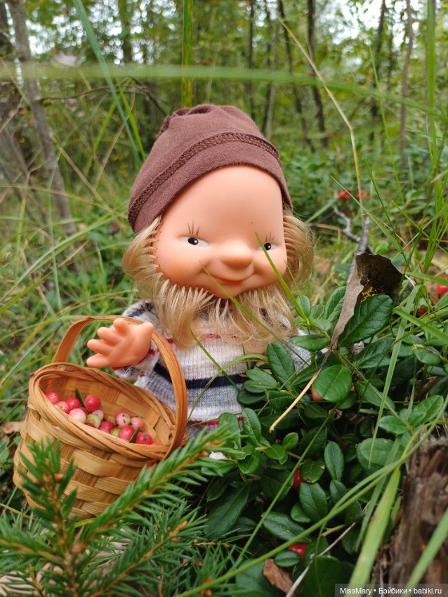 Как дядя Елисей за брусникой ходил (фото 10)