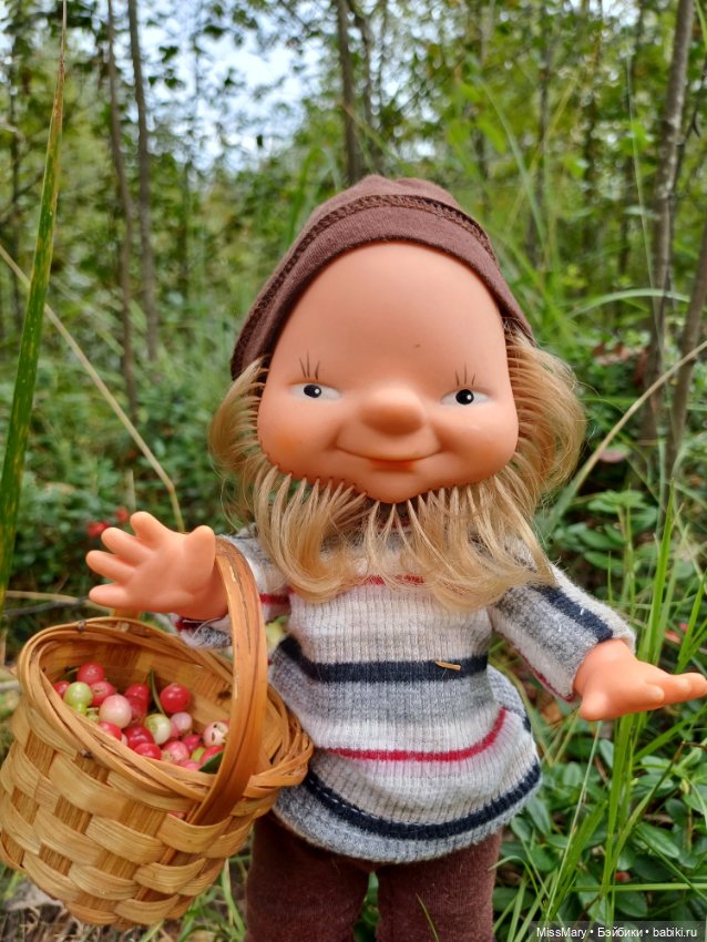 Как дядя Елисей за брусникой ходил (фото 8)