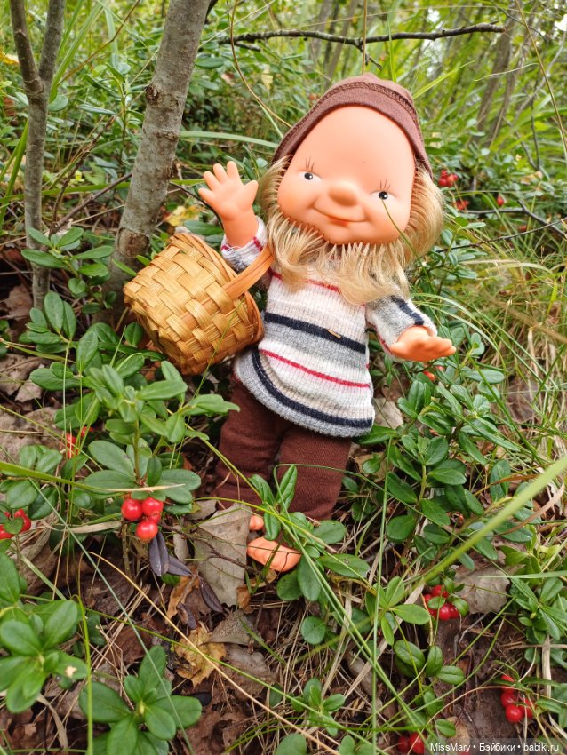 Как дядя Елисей за брусникой ходил