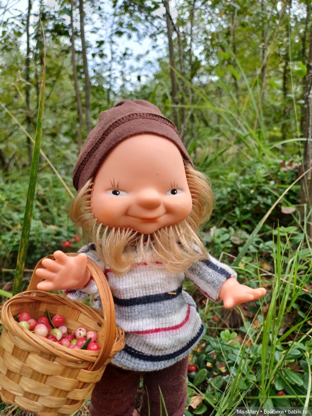 Как дядя Елисей за брусникой ходил (фото 9)