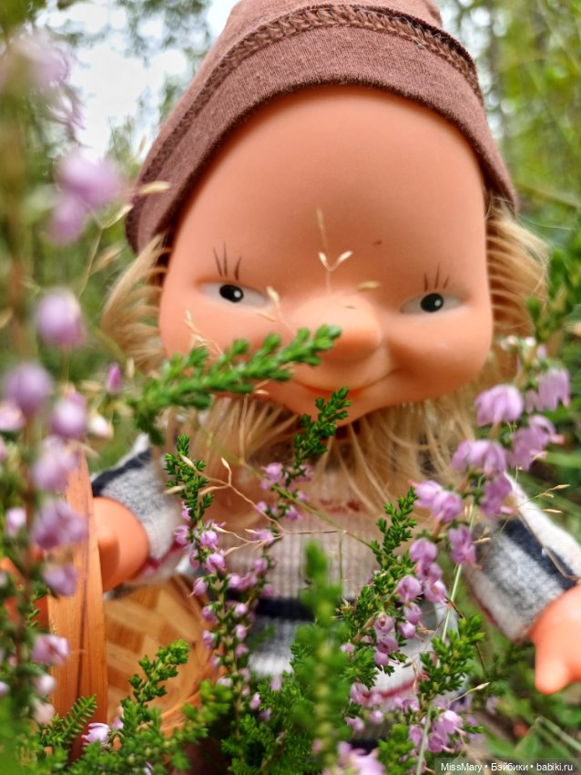 Как дядя Елисей за брусникой ходил (фото 7)