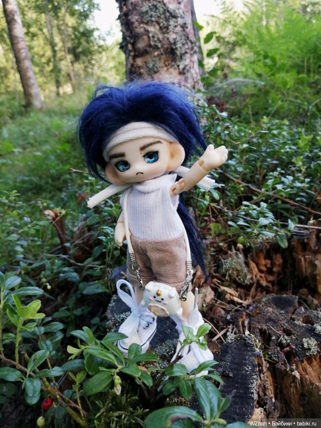 Август — Разные куклы BJD (БЖД): редкие бренды