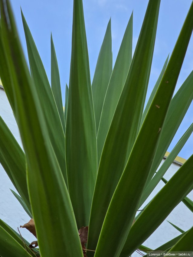 Турецкие каникулы 2025 — Интересные игрушки и фигурки (разное): редкие