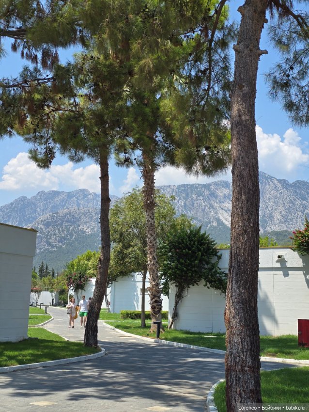 Турецкие каникулы 2025 — Интересные игрушки и фигурки (разное): редкие