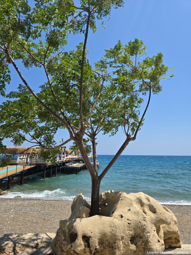 Турецкие каникулы 2025 — Интересные игрушки и фигурки (разное): редкие