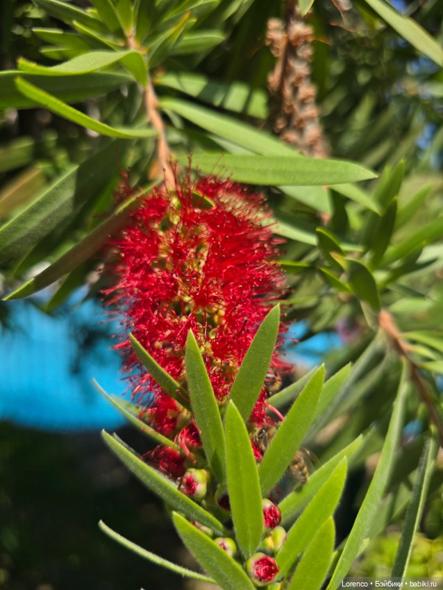 Турецкие каникулы 2025 — Интересные игрушки и фигурки (разное): редкие