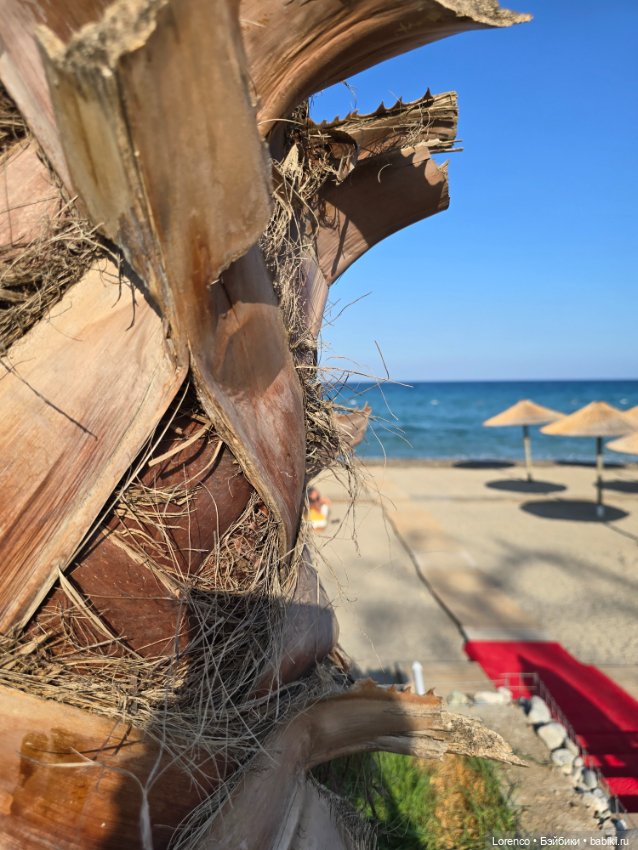 Турецкие каникулы 2025 — Интересные игрушки и фигурки (разное): редкие