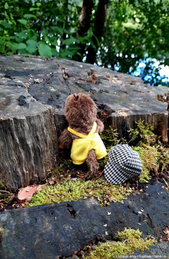 Цветущий август или прогулка для души (фото 9)