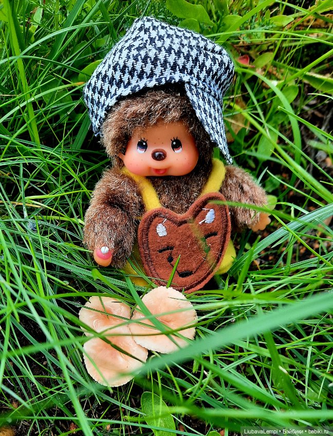 Цветущий август или прогулка для души