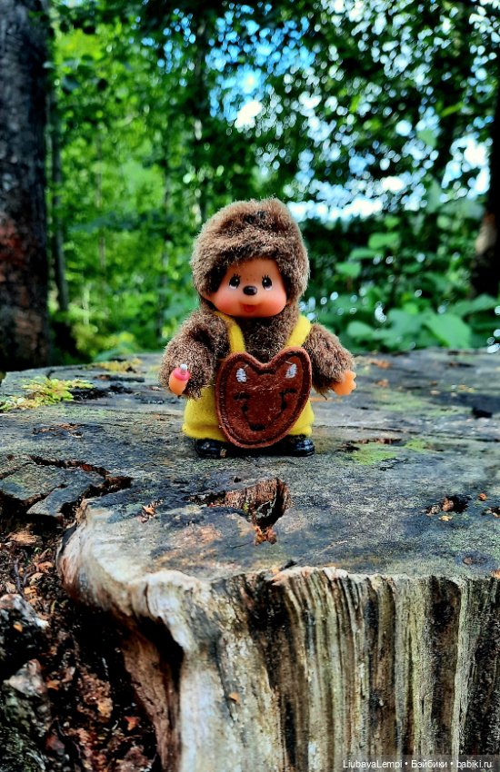 Цветущий август или прогулка для души