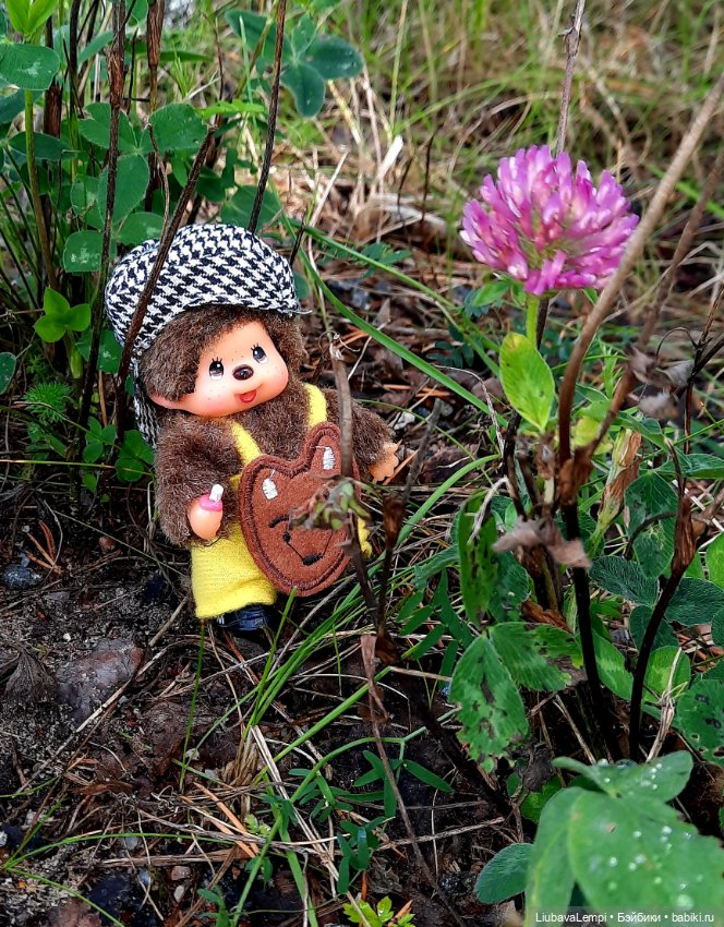 Цветущий август или прогулка для души (фото 6)