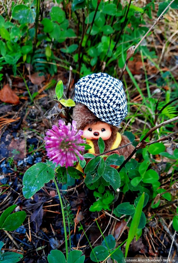 Цветущий август или прогулка для души (фото 4)