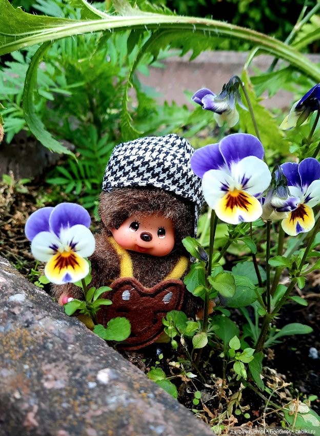 Цветущий август или прогулка для души