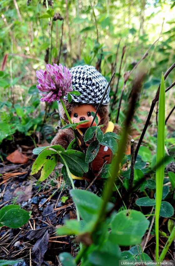 Цветущий август или прогулка для души (фото 5)