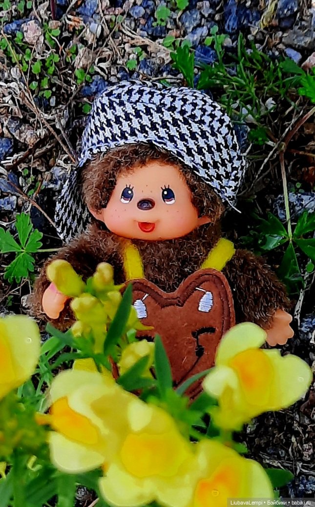 Цветущий август или прогулка для души (фото 3)