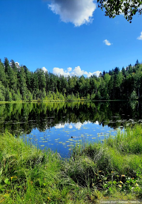 Цветущий август или прогулка для души (фото 8)