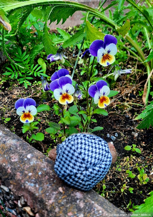 Цветущий август или прогулка для души