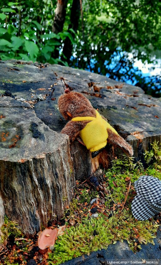 Цветущий август или прогулка для души (фото 10)