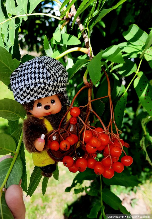 Цветущий август или прогулка для души (фото 2)