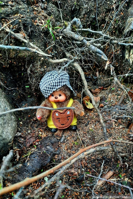 Цветущий август или прогулка для души