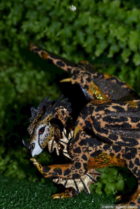 Бергарис. Индонезийский пятнистый дракон