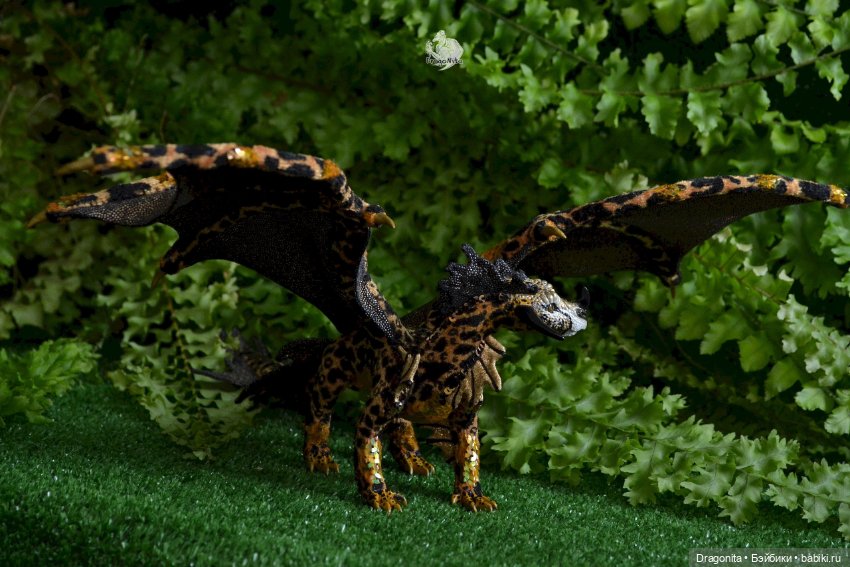 Бергарис. Индонезийский пятнистый дракон