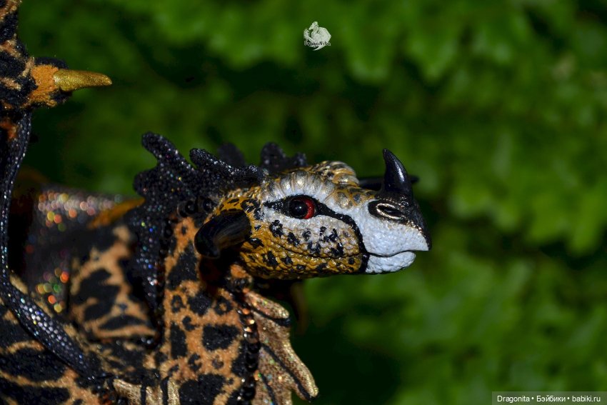 Бергарис. Индонезийский пятнистый дракон