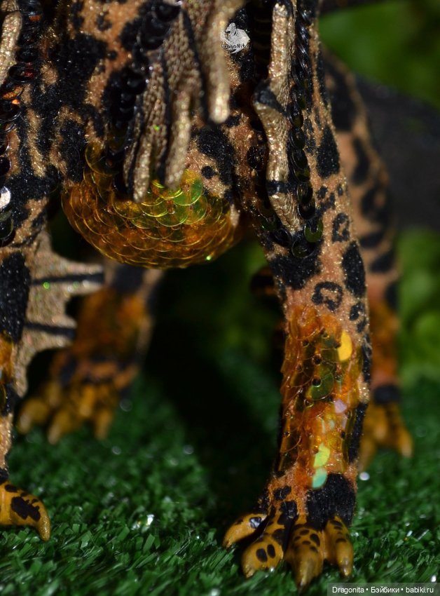 Бергарис. Индонезийский пятнистый дракон