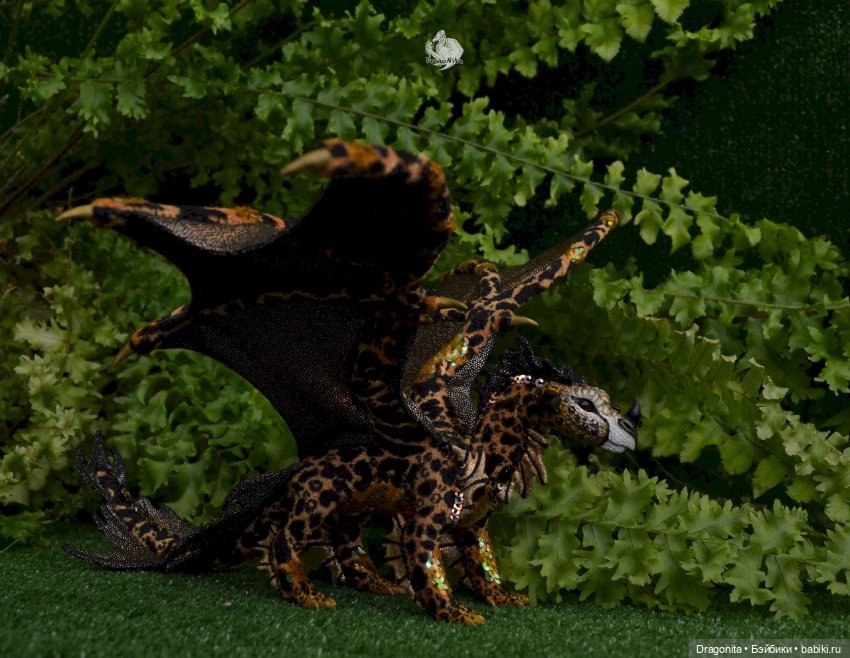 Бергарис. Индонезийский пятнистый дракон (фото 9)