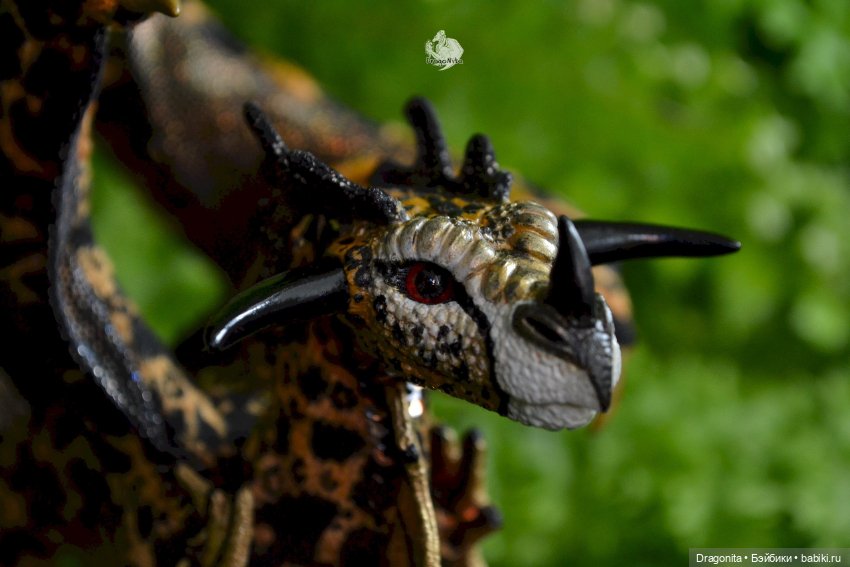 Бергарис. Индонезийский пятнистый дракон (фото 2)