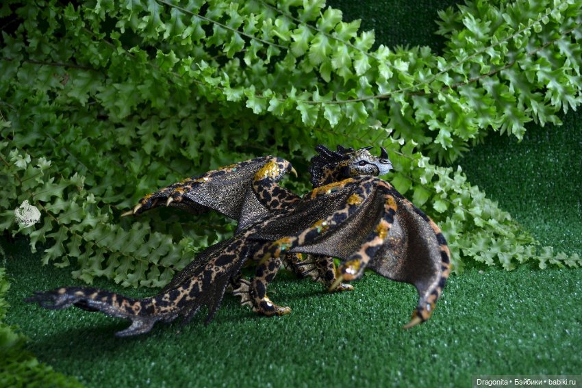 Бергарис. Индонезийский пятнистый дракон