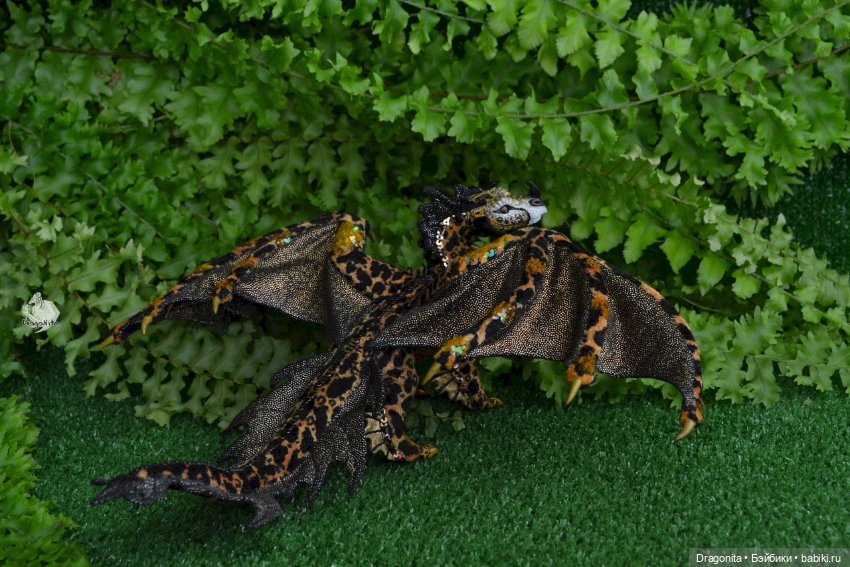 Бергарис. Индонезийский пятнистый дракон